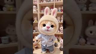 泥嚎姨姨，我是拉布猫。 #拉布布 #labubu #给你看看我养的小猫  #我是中猫 #猫：小样迷不死你