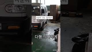 길냥도집사있잖아기죽지말고알깐#고양이 #길냥이 #재미로고양이 #cat