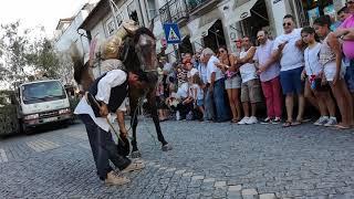 Sacha Amaral - Festas e Romarias norte de Portugal