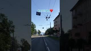 Любимый Петрозаводск | Карелия ️ #карелия #youtubeshorts #tiktok