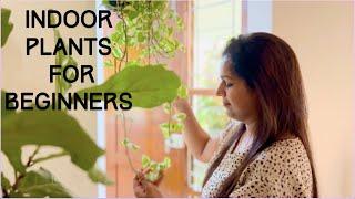 Top 10 Indoor Plants for beginner||Home decoration ideas with greenery||Indoor Plants for Home Decor