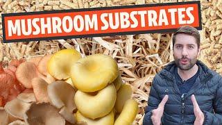 Understanding Mushroom Substrates (What Do Mushrooms Grow On?)