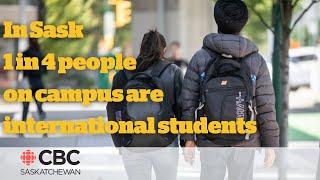 How are international students feeling returning to campuses this fall?