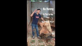 Nu Hương, Sự Thật Về Gỗ Nu Hương. Nu Hương Có Thật Sự Đẹp Và Có Giá Trị Cao?
