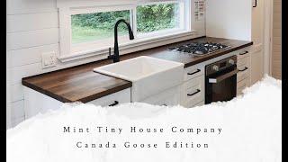 Tiny Home Tour with an Automatic Doggy Door