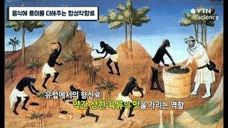 음식에 풍미를 더해주는 합성착향료 / YTN 사이언스