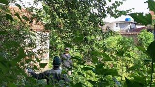 Eye-catching transformation of a house abandoned for 30 years - Cutting down overgrown trees