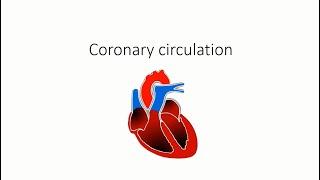 Coronary circulation | Blood supply of the heart | easy explanation with images | redmedbd