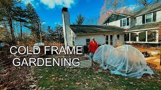 How To Make A Cold Frame Over Your Garden Beds | Cold Frame Gardening | Winter Gardening | Spring