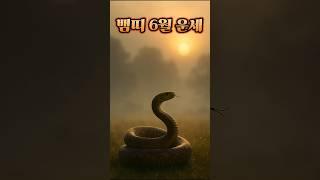 6월에 꼭 들어야 할 뱀띠 운세 #2025 #6월 #띠별운세 #운세 #뱀띠 #뱀띠운세 #사주