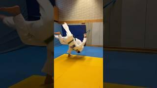 ️Combinations for technique-focused judokas#judo #judothrows #haraigoshi #deashibarai #osotogari