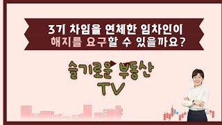 슬기로운 부동산 TV, 임차인이 3기 차임을 연체했어요. 임차인도 계약 해지를 요구할 수 있을까요?