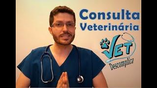 Consulta Veterinária em clínica de Pequenos Animais - Semiologia