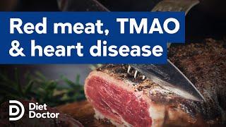 TMAO and heart disease, cause for concern for meat eaters?