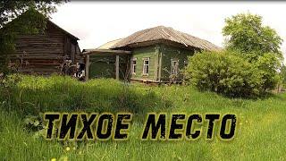 Опасная поездка в заброшенные деревни Кировской области на берегу небольшой реки