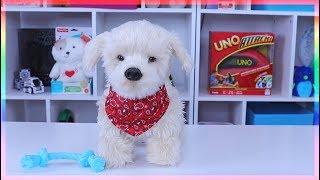 Georgie- Interactive Plush Electronic Puppy