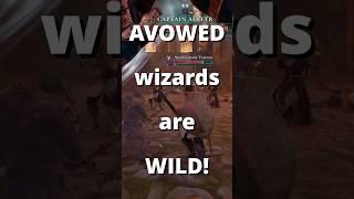 AVOWED wizards are WILD!