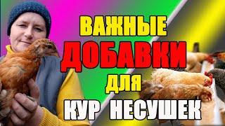 Важные ДОБАВКИ для наших несушек.