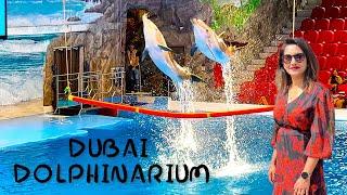 Dubai Dolphinarium | Dubai Dolphin and Seal Show | Full Live show with information | Dubai tour