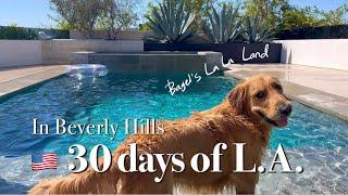 MY DOG lives in Beverly Hills modern pool MANSION for 30 Days | LA travel l Malibu l Disneyland