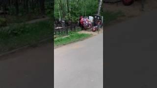 Последний приют Сергей Чурашов пути дорожки