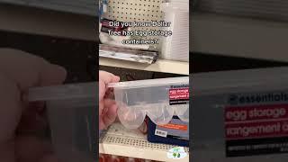 Dollar Tree Find: Egg storage container