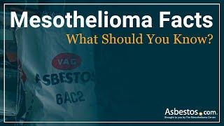 Mesothelioma Facts You Should Know (Explained)