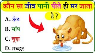 GK Question || GK In Hindi || GK Question and Answer || GK Quiz ||