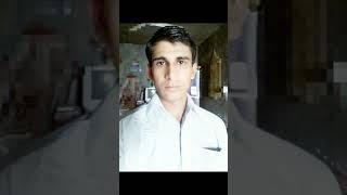 مجتبی روزبه