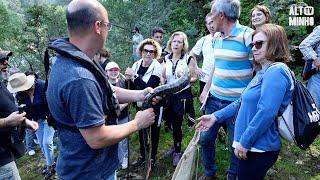 Município de Melgaço promove caminhada às pesqueiras do rio Minho e showcooking | Altominho TV