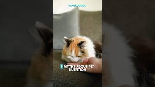 Top 5 Myths About Pet Nutrition #shorts #ytshorts #dog