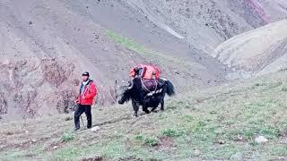 Afghanistan Wakhan Corridor Pamir