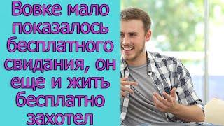 Вовке мало показалось бесплатного свидания, он еще и жить бесплатно захотел. Истории из жизни