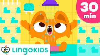 SPLASH, SPLASH   Best Bath Songs + Good Habits for kids | Lingokids