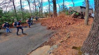 TWO YEARS of leaves and debris. SURPRISED customer with COMPLETE backyard CLEANUP. 9 guys 2 hours