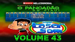 SELEÇÃO REGGAE REMIX | PANCADÃO LASER SOM | VOL 43 | PRA PAREDÃO @NellCdsMoral