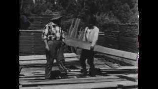 The sawmill  (Лесопилка) 1922 немая комедия