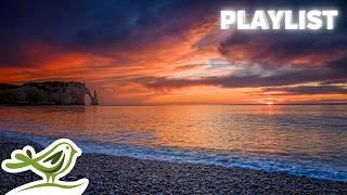 Relaxing Piano Music Playlist with Ocean Waves in the Sunset | Relax, Sleep, Focus