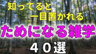 知ってるとためになる雑学４０選【自然の中でゆっくり雑学】