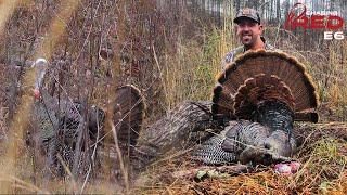 Big Timber Gobbler In Alabama At The Final Hour #hunting #turkeyhunting