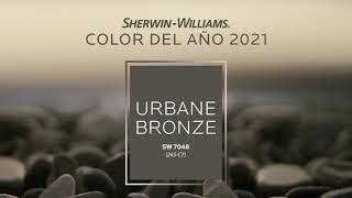 Color del año 2021 Sherwin-Williams - Urbane Bronze