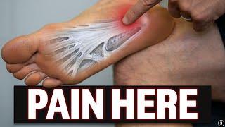 Plantar Fasciitis (Education | Myths | Stretching & Strengthening Exercises)