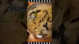 비오는날 뜨끈한 칼국수 먹어줘야죠!  #하루또이틀 #cutedog #dogshorts
