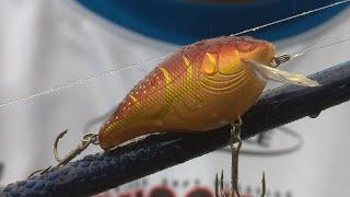 Top 5 Lures for Big Bass in February | Pro Tips! | Bass Fishing