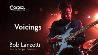 Guitar Voicings Practice - Cordial Cables USA Moments with Bob Lanzetti of Snarky Puppy