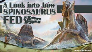 A Look into how Spinosaurus Fed