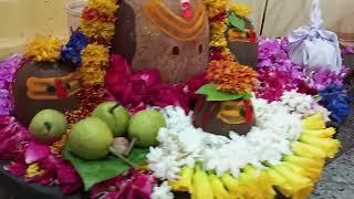 Online Puja booking LivePujaYagya.com