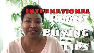 International Plant Buying Tips / Buying Plants From Overseas Sellers / Customs Confiscated Plants