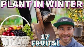 17 Fantastic NEW Fruit Trees To Plant In Winter 2023