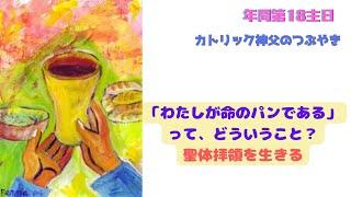 カトリック神父のつぶやき 「『私は命のパンである』ってどういうこと？ 聖体拝領を生きる」B年 年間第18主日 2024年8月4日